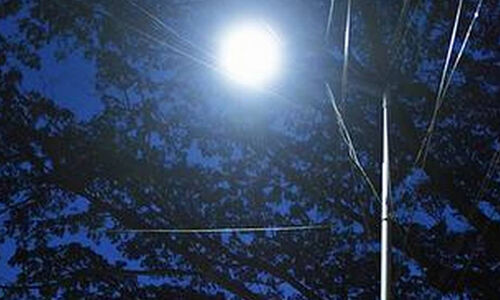 മാളയില് എല്ഇഡി വഴിവിളക്കുകള് സ്ഥാപിക്കുന്ന ഗ്രാമദീപം പദ്ധതിക്ക് തുടക്കമായി മാളയില് എല്ഇഡി വഴിവിളക്കുകള് സ്ഥാപിക്കുന്ന ഗ്രാമദീപം പദ്ധതിക്ക് തുടക്കമായി