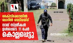 മെക്‌സിക്കോയില്‍ ബാറില്‍ വെടിവയ്പ്പ്: നാല് സ്ത്രീകള്‍ ഉള്‍പ്പെടെ 11 പേര്‍ കൊല്ലപ്പെട്ടു