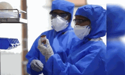 പാലക്കാട് ജില്ലയില്‍ ഇന്ന് 378 പേര്‍ക്ക് കൊവിഡ് 19 സ്ഥിരീകരിച്ചു