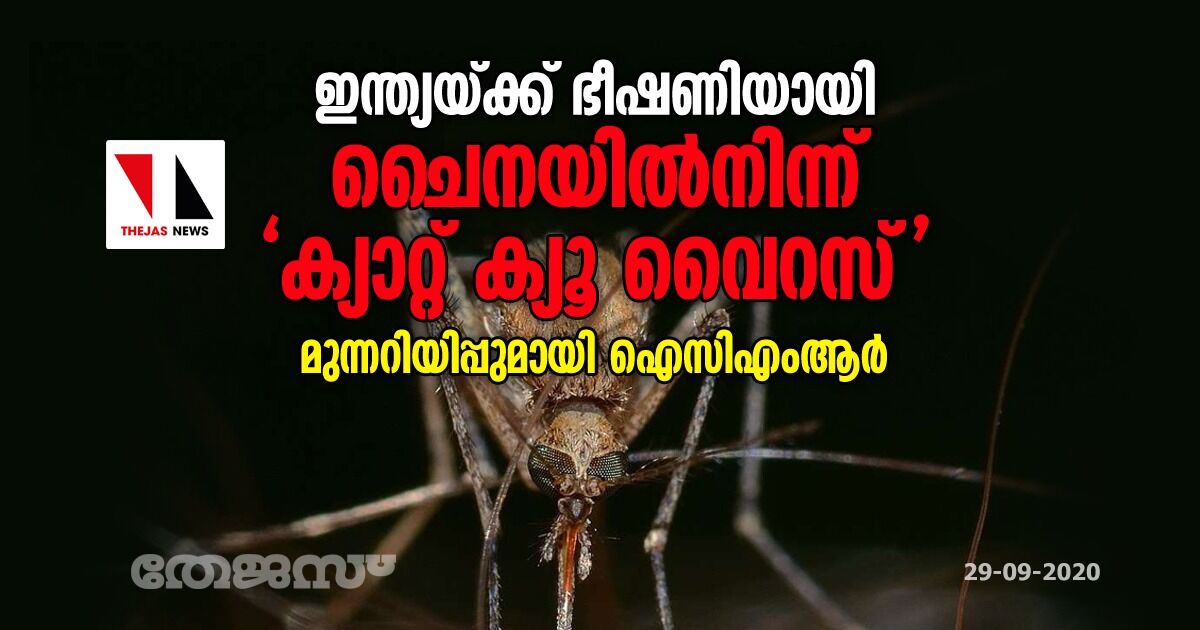 ഇന്ത്യയ്ക്ക് ഭീഷണിയായി ചൈനയില്‍നിന്ന് ക്യാറ്റ് ക്യൂ വൈറസ്; മുന്നറിയിപ്പുമായി ഐസിഎംആര്‍
