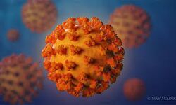 ഇടുക്കിയില്‍ ഇന്ന് 107 പേര്‍ക്കു കൊവിഡ്