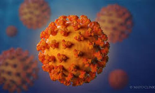 കോട്ടയം ജില്ലയില് 442 പേര്ക്കു കൂടി കൊവിഡ് കോട്ടയം ജില്ലയില് 442 പേര്ക്കു കൂടി കൊവിഡ്