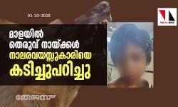 മാളയില്‍ തെരുവ് നായ്ക്കള്‍ നാലരവയസ്സുകാരിയെ കടിച്ചുപറിച്ചു
