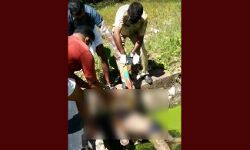 യുവാവിനെ കുളത്തില്‍ മരിച്ചതായി കണ്ടെത്തി