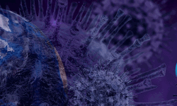 പാലക്കാട് ജില്ലയില്‍ ഇന്ന് 513 പേര്‍ക്ക് കൊവിഡ്