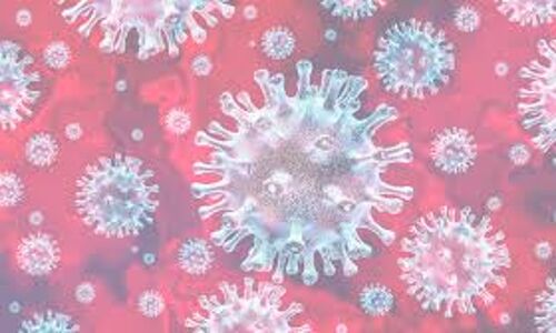 വയനാട്ടില് കൊവിഡ് വാക്സിന് ഡ്രൈ റണ് നടത്തി വയനാട്ടില് കൊവിഡ് വാക്സിന് ഡ്രൈ റണ് നടത്തി