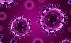 ആലപ്പുഴയില്‍ ഇന്ന് 605 പേര്‍ക്ക് കൊവിഡ്