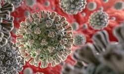 കോഴിക്കോട് ജില്ലയില്‍ 941 പേര്‍ക്ക് കൊവിഡ്; 278 പേര്‍ രോഗമുക്തി നേടി