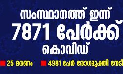 സംസ്ഥാനത്ത് ഇന്ന് 7871 പേര്‍ക്ക് കൊവിഡ്; 25 മരണം, 4981 പേര്‍ രോഗമുക്തി നേടി
