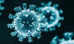 എറണാകുളം ജില്ലയില് ഇന്ന് 837 പേര്ക്ക് കൊവിഡ്; 688 പേര്ക്കും രോഗം സമ്പര്ക്കം വഴി എറണാകുളം ജില്ലയില് ഇന്ന് 837 പേര്ക്ക് കൊവിഡ്; 688 പേര്ക്കും രോഗം സമ്പര്ക്കം വഴി