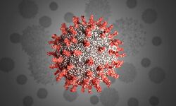 കോട്ടയം ജില്ലയില് 490 പേര്ക്കു കൂടി കൊവിഡ് കോട്ടയം ജില്ലയില് 490 പേര്ക്കു കൂടി കൊവിഡ്