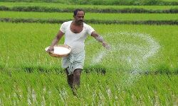 കേരള കര്ഷക ക്ഷേമനിധി ബോര്ഡ് രൂപീകരിക്കാന് മന്ത്രിസഭായോഗം തീരുമാനിച്ചു കേരള കര്ഷക ക്ഷേമനിധി ബോര്ഡ് രൂപീകരിക്കാന് മന്ത്രിസഭായോഗം തീരുമാനിച്ചു