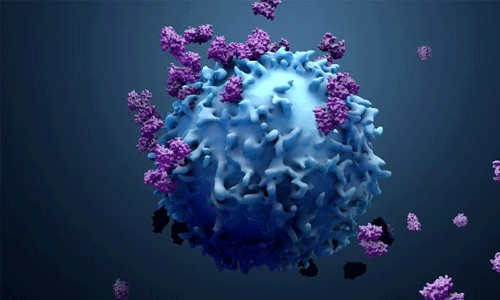 തൃശൂര്‍ ജില്ലയില്‍ 385 പേര്‍ക്ക് കൂടി കൊവിഡ്; 460 പേര്‍ രോഗമുക്തര്‍