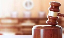 ഡിഎഫ്ഒയെ തടഞ്ഞ പ്രതികൾ ജാമ്യവ്യവസ്ഥ ലംഘിച്ച സംഭവം: എതിർവാദം ഇന്ന്