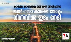 അല്‍ഹസാ കാരക്ക തോട്ടം ഗിന്നസില്‍ ഇടം നേടി