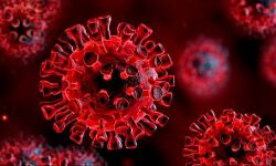 ജീവനക്കാരന് കൊവിഡ്; ചാഴൂര്‍ പഞ്ചായത്തോഫീസ് അടക്കും