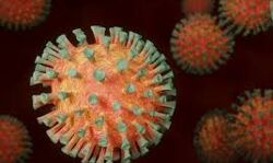 മലപ്പുറം ജില്ലയില്‍ 1,174 പേര്‍ക്ക് കൊവിഡ്; 909 പേര്‍ക്ക് രോഗമുക്തി