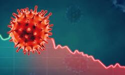 കോട്ടയം ജില്ലയില്‍ 522 പേര്‍ക്ക് കൊവിഡ്