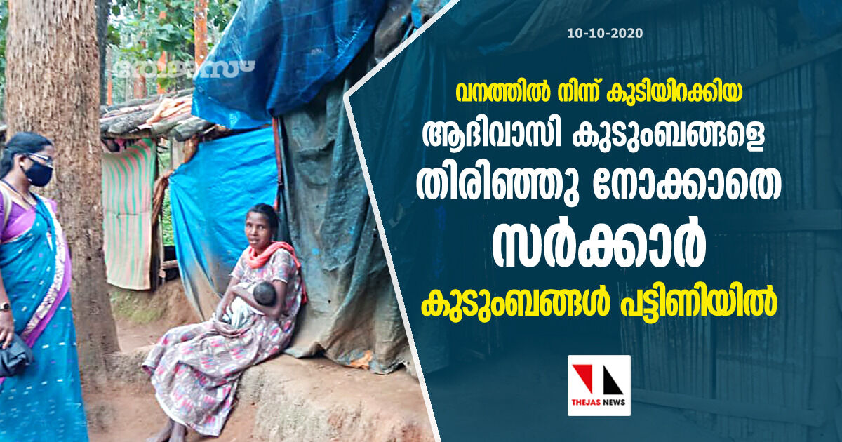 വനത്തിൽ നിന്ന് കുടിയിറക്കിയ ആദിവാസി കുടുംബങ്ങളെ തിരിഞ്ഞു നോക്കാതെ സർക്കാർ