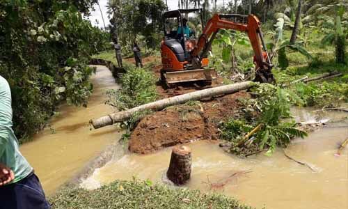 തോടിന്റെ ബണ്ട് തകര്‍ന്നു; മാങ്കുഴിപ്പാടശേഖരം വെള്ളക്കെട്ടില്‍