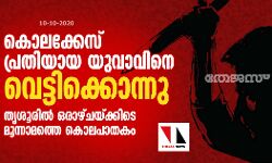 കൊലക്കേസ് പ്രതിയായ യുവാവിനെ വെട്ടിക്കൊന്നു;  തൃശൂരിൽ ഒരാഴ്ചയ്ക്കിടെ മൂന്നാമത്തെ കൊലപാതകം