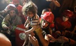 เดฒเตเดฌเดจเดพเดจเดฟเดฒเตโ เดเดจเตเดงเดจ เดเดพเดเตเดเดฐเตโ เดชเตเดเตเดเดฟเดคเตเดคเตเดฑเดฟเดเตเดเต เดจเดพเดฒเต เดฎเดฐเดฃเด; เดจเดฟเดฐเดตเดงเดฟ เดชเตเดฐเตโเดเตเดเต เดชเดฐเดฟเดเตเดเต เดฒเตเดฌเดจเดพเดจเดฟเดฒเตโ เดเดจเตเดงเดจ เดเดพเดเตเดเดฐเตโ เดชเตเดเตเดเดฟเดคเตเดคเตเดฑเดฟเดเตเดเต เดจเดพเดฒเต เดฎเดฐเดฃเด; เดจเดฟเดฐเดตเดงเดฟ เดชเตเดฐเตโเดเตเดเต เดชเดฐเดฟเดเตเดเต