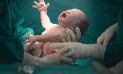 16ാമത്തെ പ്രസവത്തില്‍ യുവതി മരിച്ചു