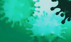 തൃശൂർ ജില്ലയിൽ 697 പേർക്ക് കൂടി കൊവിഡ്;  1090 പേർ രോഗമുക്തർ