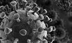 เดเตเดเตเดเดฏเด เดเดฟเดฒเตเดฒเดฏเดฟเดฒเตโ 382 เดชเตเดฐเตโเดเตเดเต เดเตเดตเดฟเดกเต; 375 เดชเตเดฐเตโเดเตเดเต เดธเดฎเตเดชเดฐเตโเดเตเดเดคเตเดคเดฟเดฒเตเดเต เดเตเดเตเดเดฏเด เดเดฟเดฒเตเดฒเดฏเดฟเดฒเตโ 382 เดชเตเดฐเตโเดเตเดเต เดเตเดตเดฟเดกเต; 375 เดชเตเดฐเตโเดเตเดเต เดธเดฎเตเดชเดฐเตโเดเตเดเดคเตเดคเดฟเดฒเตเดเต