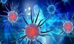 കോഴിക്കോട് ജില്ലയില്‍ 1113 പേര്‍ക്ക് കൊവിഡ്;  രോഗമുക്തി 1236