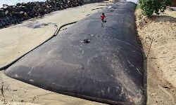 ജിയോ ട്യൂബ്: മന്ത്രിസഭാ യോഗത്തില് ക്ഷുഭിതയായി മേഴ്സിക്കുട്ടിയമ്മ ജിയോ ട്യൂബ്: മന്ത്രിസഭാ യോഗത്തില് ക്ഷുഭിതയായി മേഴ്സിക്കുട്ടിയമ്മ