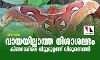 വായയില്ലാത്ത നിശാശലഭം കിണറടപ്പിലെ വീട്ടുമുറ്റത്ത് വിരുന്നെത്തി