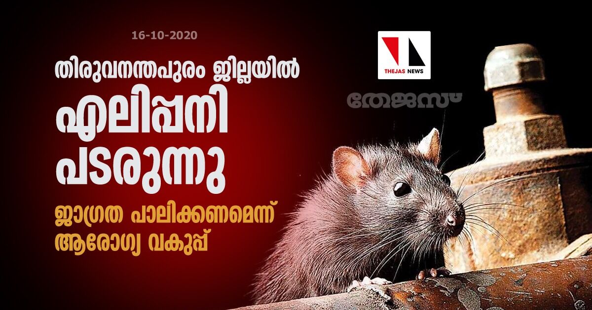 തിരുവനന്തപുരം ജില്ലയിൽ എലിപ്പനി പടരുന്നു; ജാഗ്രത പാലിക്കണമെന്ന് ആരോഗ്യ വകുപ്പ് തിരുവനന്തപുരം ജില്ലയിൽ എലിപ്പനി പടരുന്നു; ജാഗ്രത പാലിക്കണമെന്ന് ആരോഗ്യ വകുപ്പ്