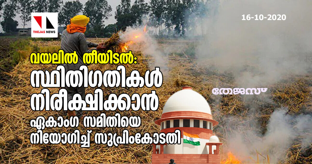 വയലില് തീയിടല്: സ്ഥിതിഗതികള് നിരീക്ഷിച്ച് റിപോര്ട്ട് സമര്പ്പിക്കാന് ഏകാംഗ സമിതിയെ നിയോഗിച്ച് സുപ്രിംകോടതി വയലില് തീയിടല്: സ്ഥിതിഗതികള് നിരീക്ഷിച്ച് റിപോര്ട്ട് സമര്പ്പിക്കാന് ഏകാംഗ സമിതിയെ നിയോഗിച്ച് സുപ്രിംകോടതി