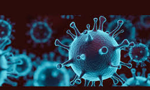 ആലപ്പുഴ ജില്ലയില്‍ ഇന്ന് 563 പേര്‍ക്ക് കൊവിഡ്