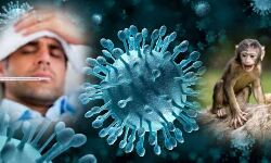 കുരങ്ങ്പനി പ്രതിരോധം: വാക്സിനേഷന് ഊര്ജ്ജിതപ്പെടുത്തണം- ജില്ലാ കലക്ടര് കുരങ്ങ്പനി പ്രതിരോധം: വാക്സിനേഷന് ഊര്ജ്ജിതപ്പെടുത്തണം- ജില്ലാ കലക്ടര്