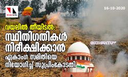 വയലില്‍ തീയിടല്‍: സ്ഥിതിഗതികള്‍ നിരീക്ഷിച്ച് റിപോര്‍ട്ട് സമര്‍പ്പിക്കാന്‍ ഏകാംഗ സമിതിയെ നിയോഗിച്ച് സുപ്രിംകോടതി