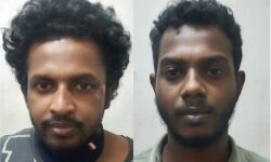 เดเดตเดฐเตโเดเตเด เดเตเดธเดฟเดฒเต เดชเตเดฐเดคเดฟเดเดณเตโ เดชเตเดฒเตเดธเต เดชเดฟเดเดฟเดฏเดฟเดฒเตโ เดเดตเดฐเตโเดเตเด เดเตเดธเดฟเดฒเต เดชเตเดฐเดคเดฟเดเดณเตโ เดชเตเดฒเตเดธเต เดชเดฟเดเดฟเดฏเดฟเดฒเตโ