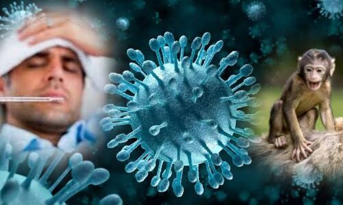 കുരങ്ങ്പനി പ്രതിരോധം:    വാക്സിനേഷന്‍ ഊര്‍ജ്ജിതപ്പെടുത്തണം- ജില്ലാ കലക്ടര്‍