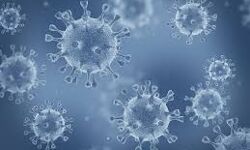 തിരുവനന്തപുരത്ത് ഇന്ന് 848 പേര്ക്ക് കൊവിഡ്;ഏഴ് മരണം തിരുവനന്തപുരത്ത് ഇന്ന് 848 പേര്ക്ക് കൊവിഡ്;ഏഴ് മരണം