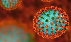 മഹാരാഷ്ട്രയില് 10259 പേര്ക്ക് കൊവിഡ്; 24 മണിക്കൂറിനിടെ 250 മരണം മഹാരാഷ്ട്രയില് 10259 പേര്ക്ക് കൊവിഡ്; 24 മണിക്കൂറിനിടെ 250 മരണം