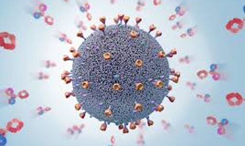 പാലക്കാട് ജില്ലയില്‍ ഇന്ന് 688 പേര്‍ക്ക് കൊവിഡ്; 343 പേര്‍ക്ക് രോഗമുക്തി