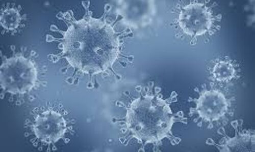 തിരുവനന്തപുരത്ത് ഇന്ന് 848 പേര്‍ക്ക് കൊവിഡ്;ഏഴ് മരണം