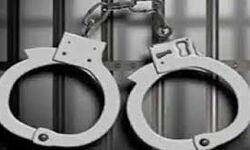 നിധില് വധക്കേസ്: രണ്ട് പേര് കൂടി അറസ്റ്റില് നിധില് വധക്കേസ്: രണ്ട് പേര് കൂടി അറസ്റ്റില്