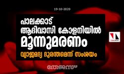 പാലക്കാട് ആദിവാസി കോളനിയില്‍ മൂന്നുമരണം; വ്യാജമദ്യ ദുരന്തമെന്ന് സംശയം