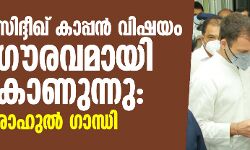 സിദ്ദീഖ് കാപ്പന്‍ വിഷയം ഗൗരവമായി കാണുന്നു: രാഹുല്‍ ഗാന്ധി