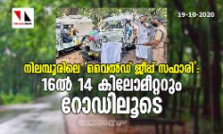 നിലമ്പൂരിലെ വൈല്‍ഡ് ജീപ്പ് സഫാരി : 16ല്‍ 14 കിലോമീറ്ററും റോഡിലൂടെ