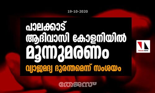 പാലക്കാട് ആദിവാസി കോളനിയില്‍ മൂന്നുമരണം; വ്യാജമദ്യ ദുരന്തമെന്ന് സംശയം