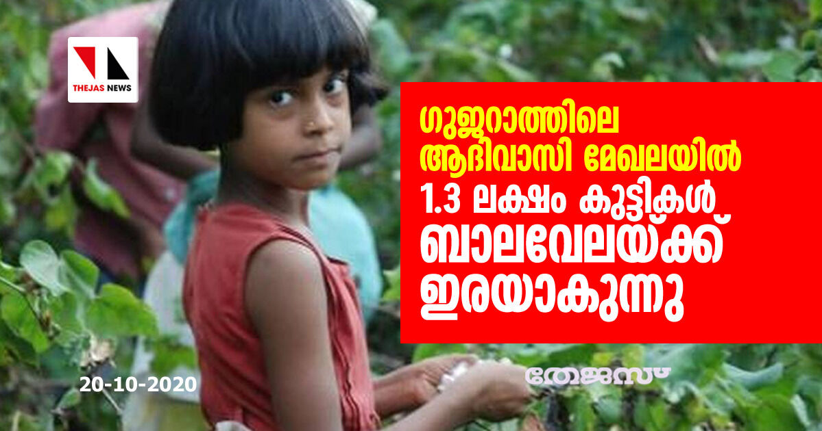 ഗുജറാത്തിലെ ആദിവാസി മേഖലയിൽ 1.3 ലക്ഷം കുട്ടികൾ ബാലവേലയ്ക്ക് ഇരയാകുന്നു