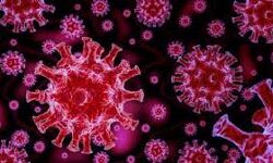 മലപ്പുറം ജില്ലയില് ഇന്ന് 786 പേര്ക്ക് കൊവിഡ്; 1,093 പേര്ക്ക് രോഗമുക്തി മലപ്പുറം ജില്ലയില് ഇന്ന് 786 പേര്ക്ക് കൊവിഡ്; 1,093 പേര്ക്ക് രോഗമുക്തി